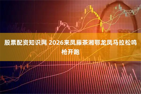 股票配资知识网 2026来凤藤茶湘鄂龙凤马拉松鸣枪开跑